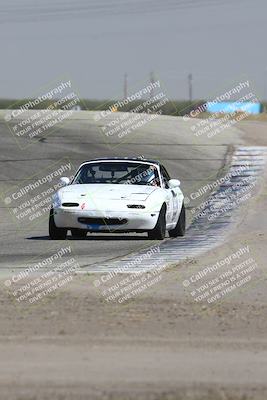 media/Sep-28-2024-24 Hours of Lemons (Sat) [[a8d5ec1683]]/1140am (Outside Grapevine)/